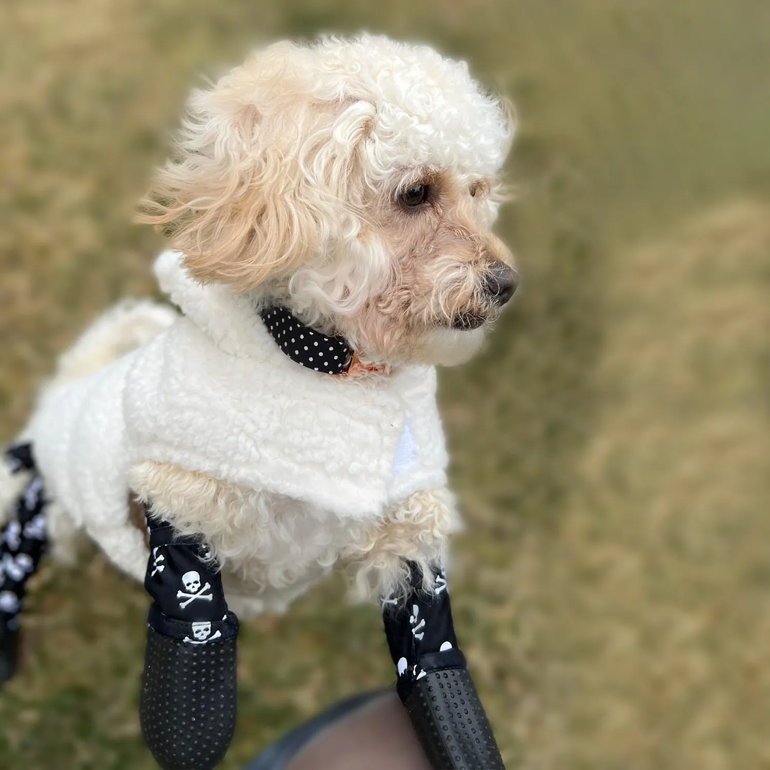 Adjustable Fit Boot Leggings — [ ꜰɪɴᴀʟ ꜱᴀʟᴇ]