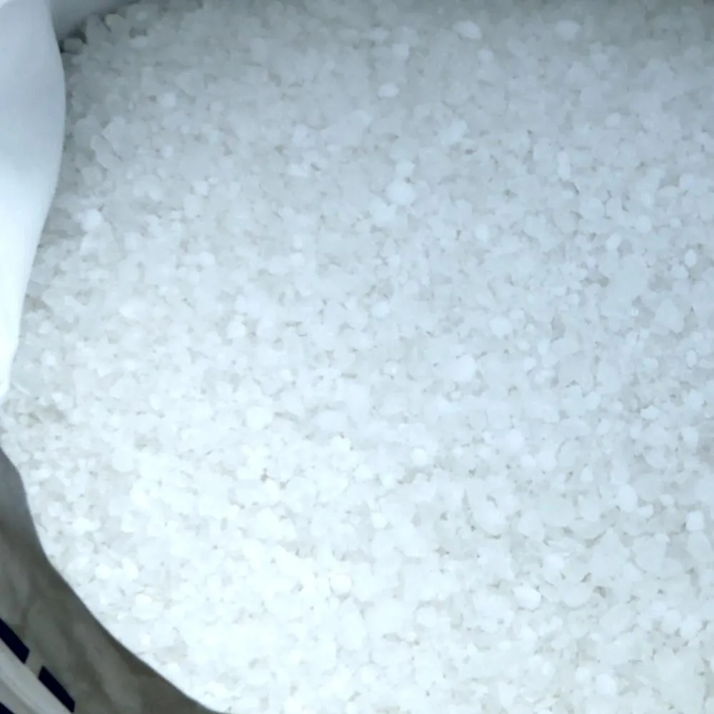 Snow Joe MELT20ESB Calcium Chloride Ice Melt Blend | 20-Pound